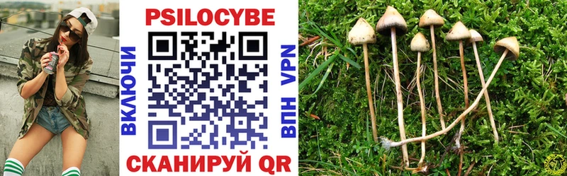 купить  цена  Кирс  гидра сайт  Псилоцибиновые грибы мицелий 